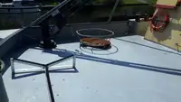 Navio de pesca de arrasto à venda
