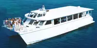 Catamarã à venda