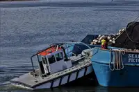 Navio de pesca de cerco à venda