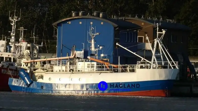 Embarcação para processamento e transporte de peixe à venda