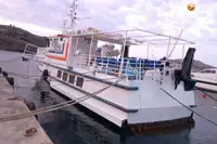 Navio de transporte de passageiros (Ferry) à venda