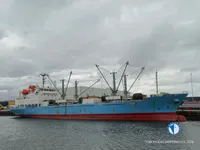 Navio frigorífico à venda