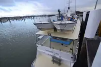 Cutter à venda