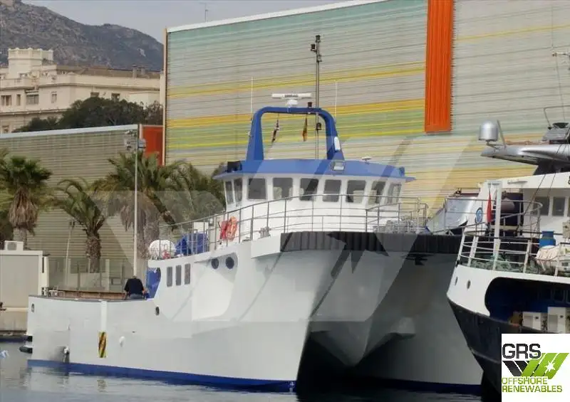 Barcos de trabalho à venda