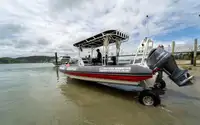 Anfíbio à venda