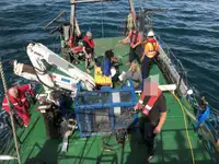 Barcos de trabalho à venda