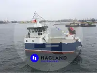Barcos de trabalho à venda
