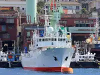 Navio de patrulha à venda