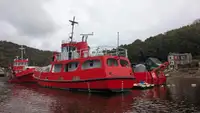 Navio de pesquisa à venda