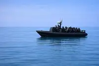 Bote inflável rígido à venda
