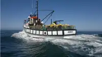 Trawler à venda
