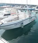 Navio de cruzeiro à venda