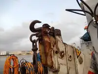 Barcos de trabalho à venda
