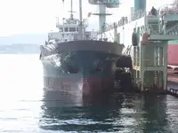 Graneleiro à venda