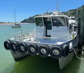 Catamarã à venda