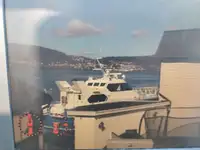 Bote inflável rígido à venda