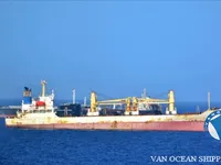 Navio frigorífico à venda