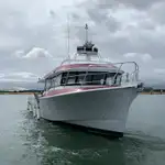 Barcos de trabalho à venda