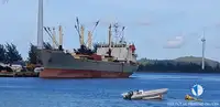 Navio frigorífico à venda