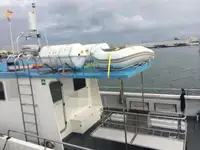 Barcos de trabalho à venda