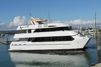 Catamarã à venda
