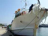 Navio de pesca de lula com anzol à venda