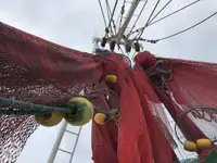 Navio de pesca de arrasto à venda