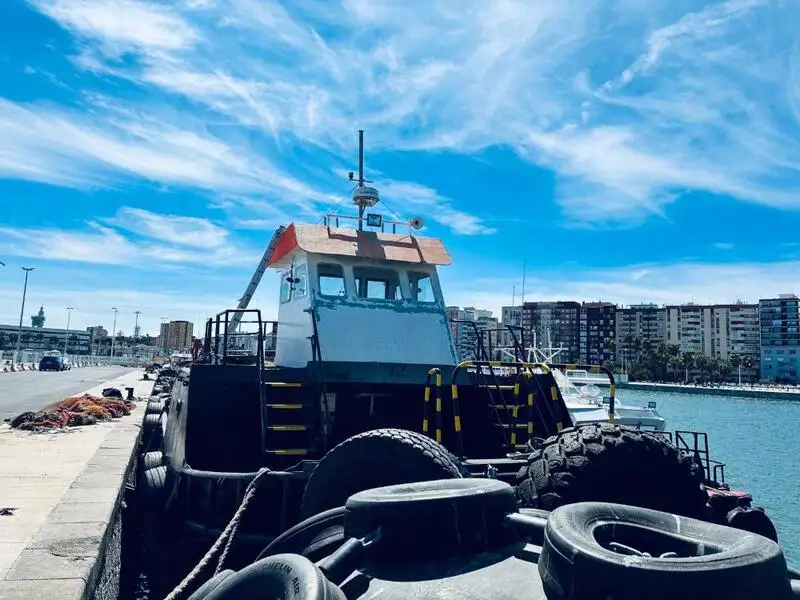 Barcos de trabalho à venda