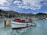 Navio de pesca de arrasto à venda