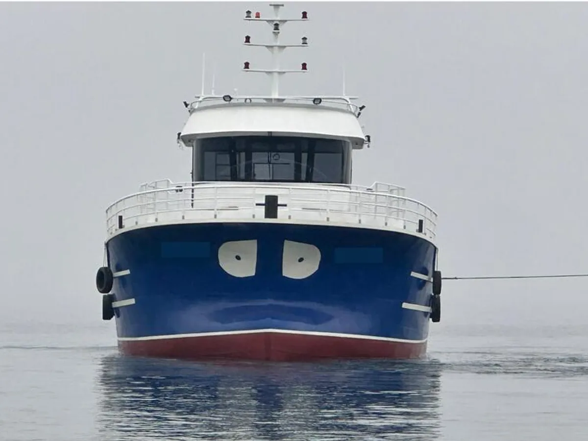 Barcos de trabalho à venda