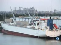 Navio frigorífico à venda