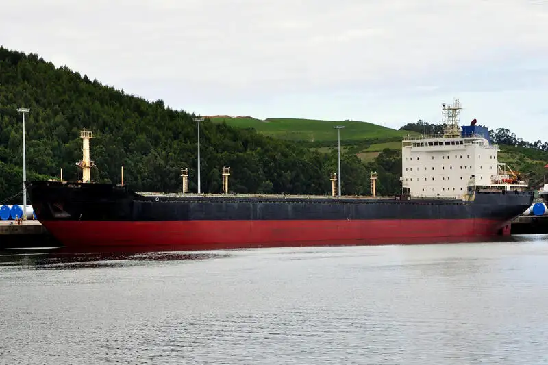 Navio graneleiro à venda