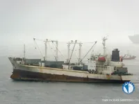 Navio frigorífico à venda
