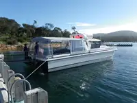 Catamarã à venda