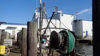Navio de pesca de arrasto à venda