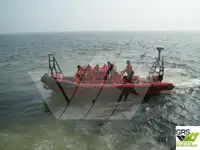 Barco inflável rígido à venda