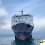 Navio Ro-Ro à venda