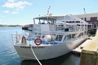 Navio de passageiros à venda