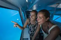 Submarino à venda