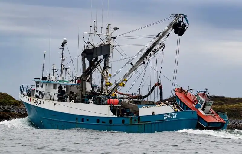 Navio de pesca de cerco à venda
