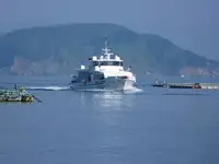 Navio de transporte de passageiros (Ferry) à venda