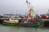 Trawler à venda