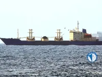Navio frigorífico à venda