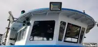 Catamarã à venda