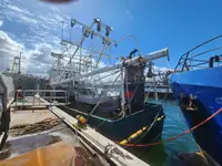Navio de pesca de arrasto à venda