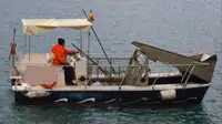 Barcos de trabalho à venda