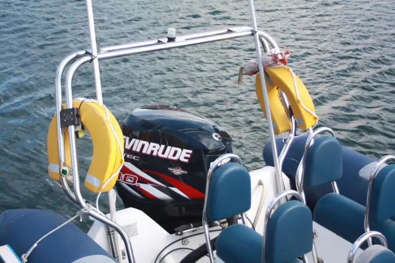 Bote inflável rígido à venda