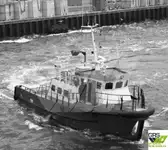 Navio de serviço para parques eólicos à venda