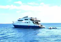 Suporte de mergulho à venda