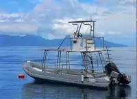 Barco inflável rígido à venda